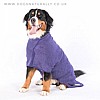Purple Drying Coat - Bernese Mountain Dog